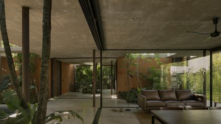 A Forest in the House